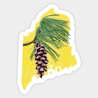 Maine White Pine Cone Sticker